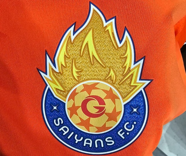 VivaTex Iron imagen escudos 